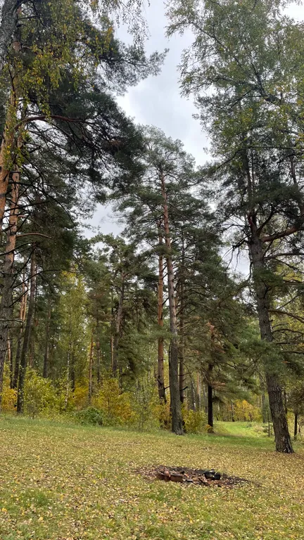 Дом 66m2 — чан, кухня, доступ к Wi-Fi