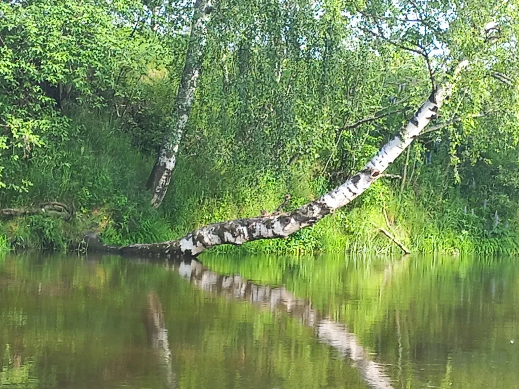 Дом 28m2 — чан, кухня, Wi-Fi