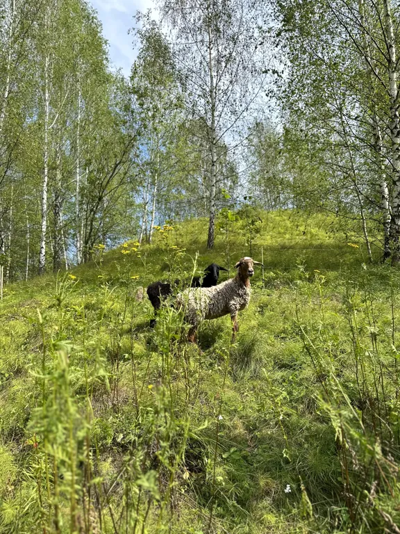 Дом 40m2 — чан фурако, кухня, Wi-Fi