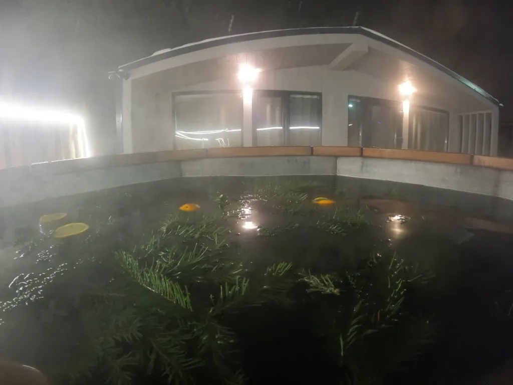 Коттедж 60m2 — чан, кухня, Wi-Fi