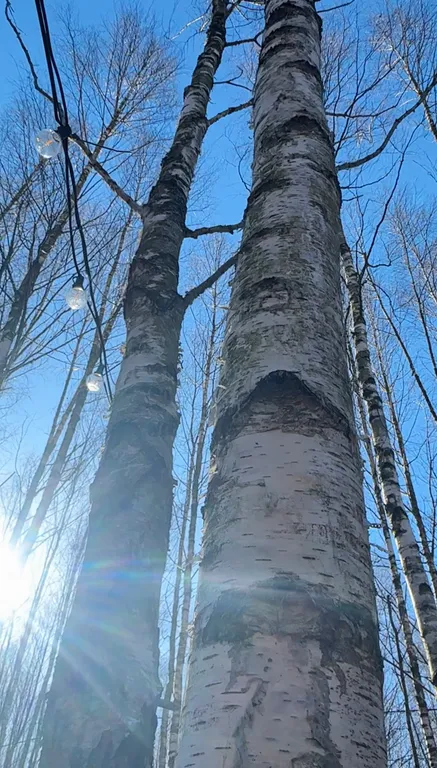 Дом 47m2 — чан, кухня, Wi-Fi