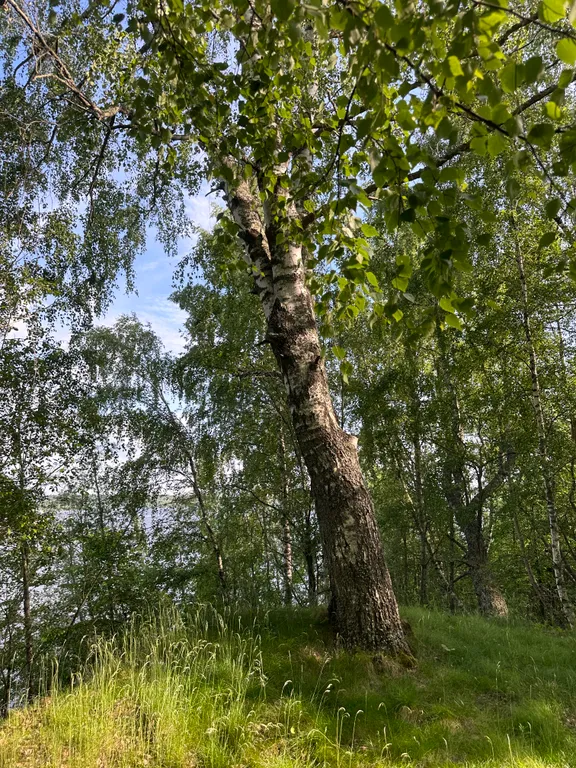 Дом 50m2 — чан, кухня, Wi-Fi