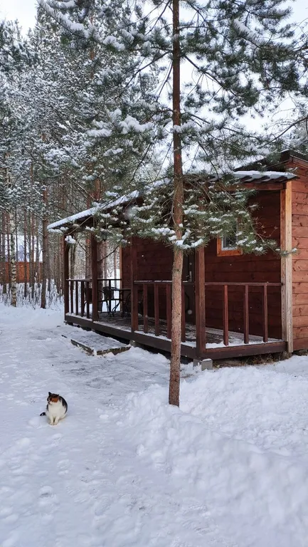 Дом 36m2 — чан, кухня, Wi-Fi