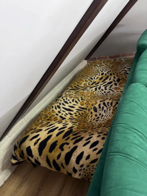 Дом 50m2 — чан, кухня, Wi-Fi