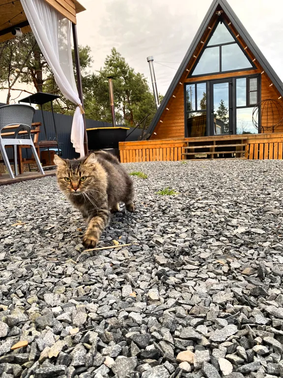 Дом 36m2 — чан, кухня, Wi-Fi