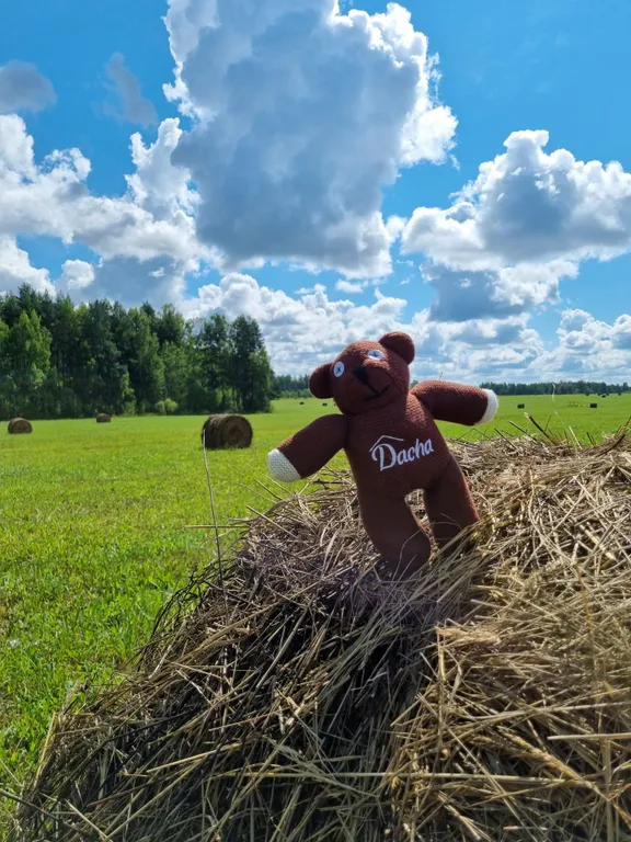 Дом 81m2 — чан, кухня, Wi-Fi