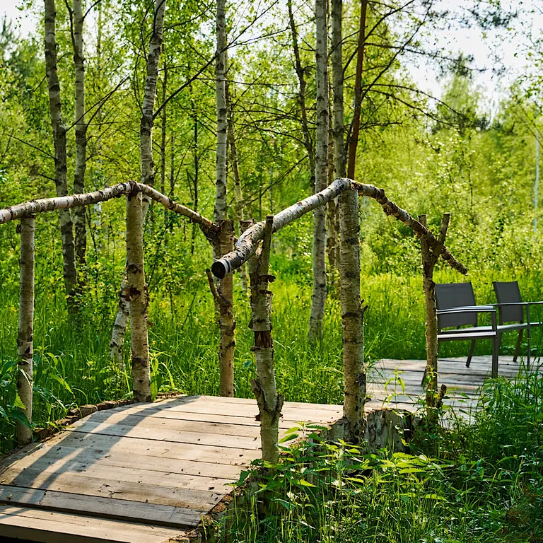 Дом 100m2 — чан, кухня, уединение в сосновом лесу